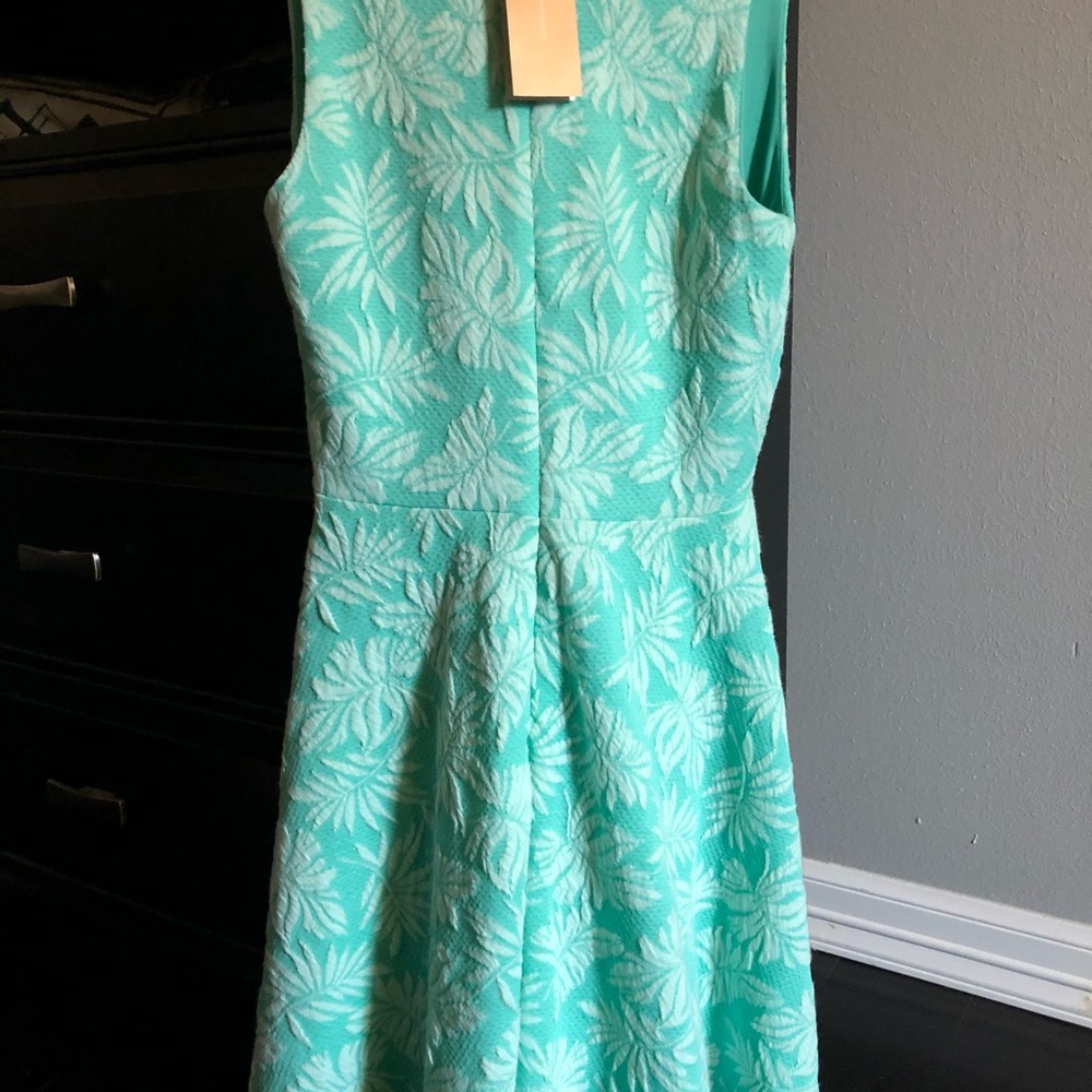 Francesca’s Dress 👗 - Picture 4 of 6
